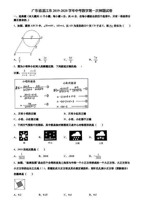广东省湛江市2019-2020学年中考数学第一次押题试卷含解析