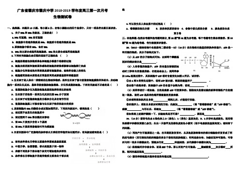 广东省肇庆市肇庆中学2018-2019学年度高三第一次月考理综生物测试卷