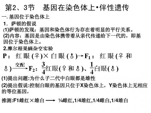 基因在染色体上,伴性遗传