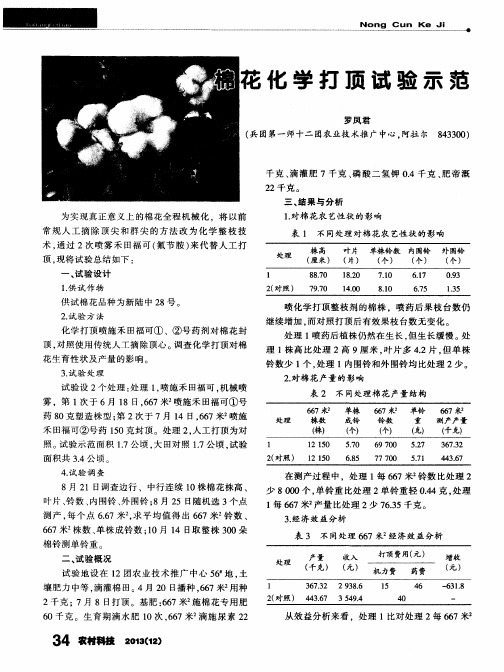 棉花化学打顶试验示范