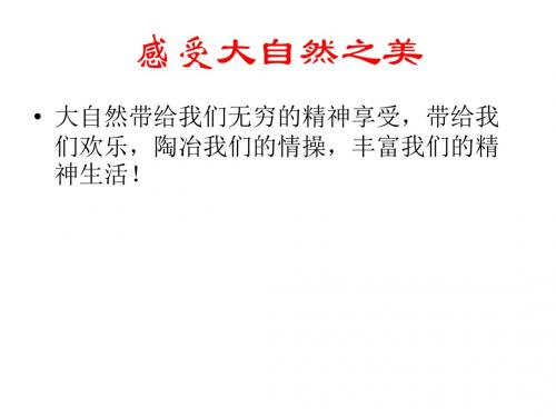关爱大自然  从我做起