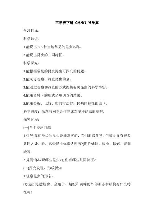 三年级下册科学导学案《昆虫》导学案