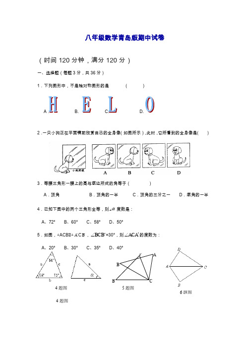 最新青岛版八年级数学上学期期中考试模拟试卷及答案.docx