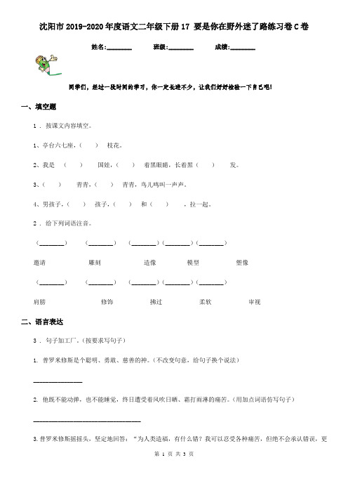 沈阳市2019-2020年度语文二年级下册17 要是你在野外迷了路练习卷C卷