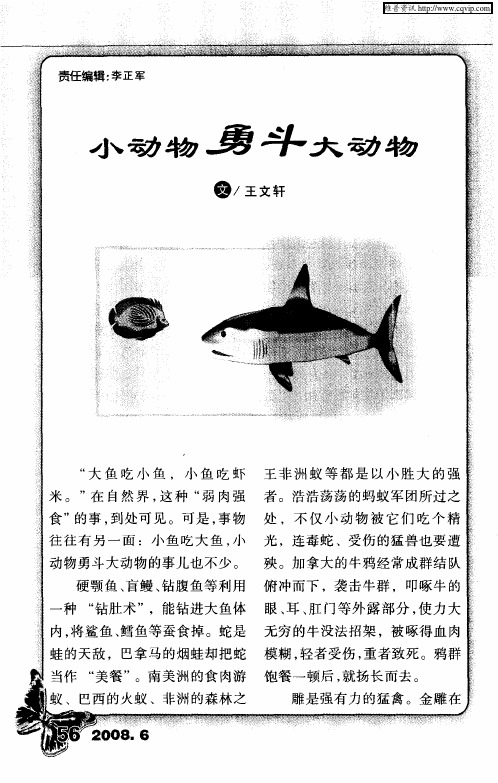 小动物勇斗大动物