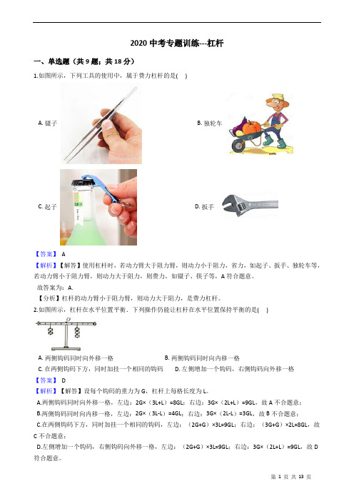 2020中考专题训练---杠杆 附详细解析教师版