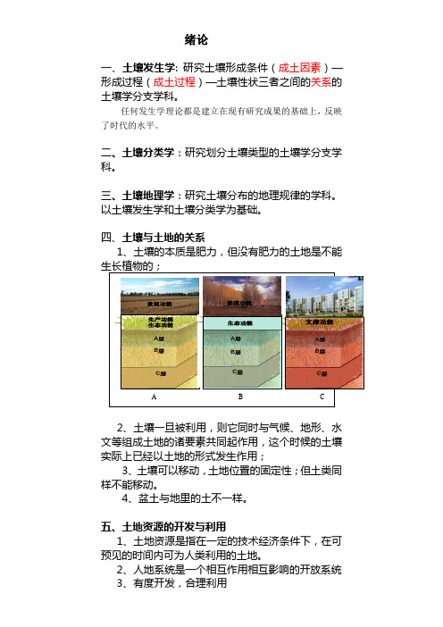 发生学
