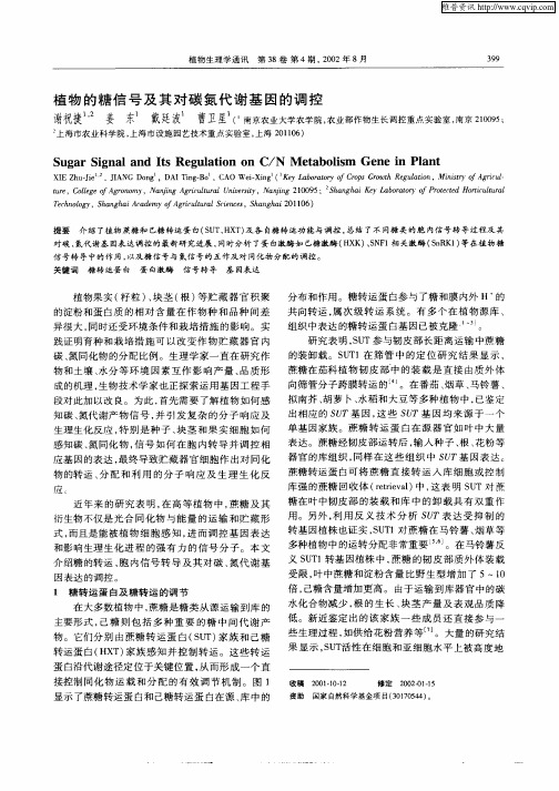 植物的糖信号及其对碳氮代谢基因的调控