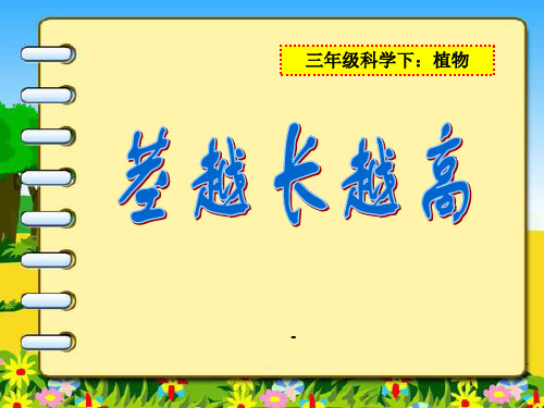 茎越长越高-PPT课件  (2)