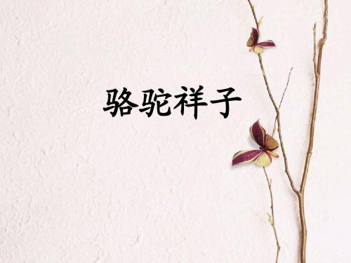 骆驼祥子读后感