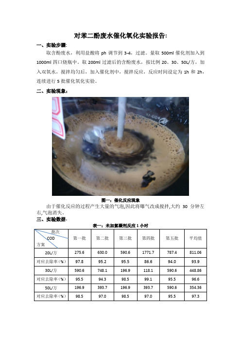 对苯二酚催化氧化实验