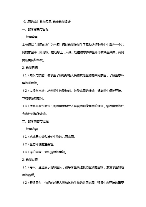 《共同的家》教学反思 教案教学设计