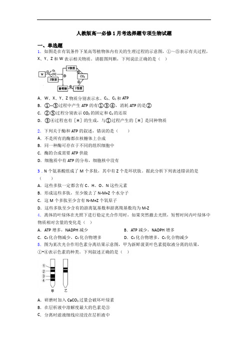 人教版高一必修1月考选择题专项生物试题