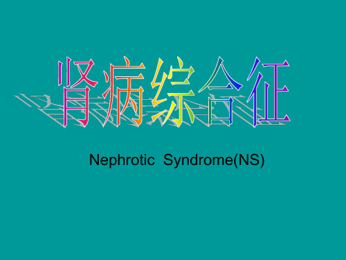儿科精品课件肾病综合征
