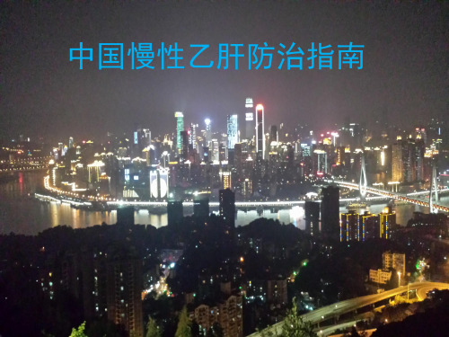 慢性乙型肝炎防治指南PPT课件