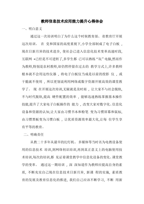 教师信息技术应用能力提升心得体会
