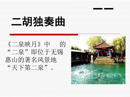苏教版五年级下册语文《二泉映月》课件PPT
