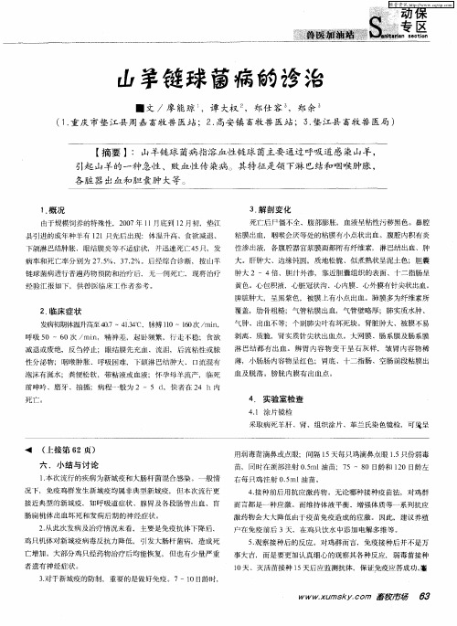 山羊链球菌病的诊治