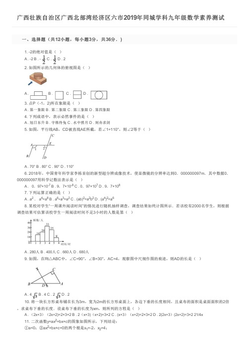 广西壮族自治区广西北部湾经济区六市2019年同城学科九年级数学素养测试及参考答案