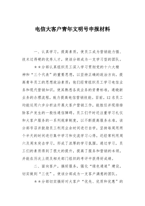 电信大客户青年文明号申报材料