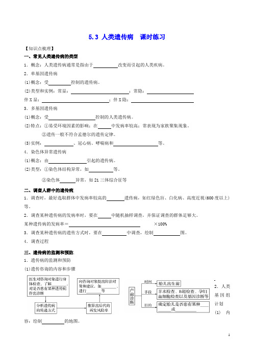 【人教版】5.3 人类遗传病-高中生物同步课堂 课时练习(人教版必修2)