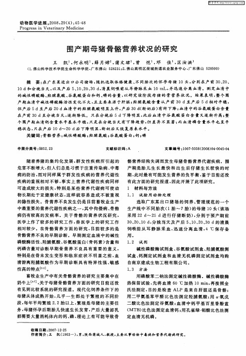 围产期母猪骨骼营养状况的研究