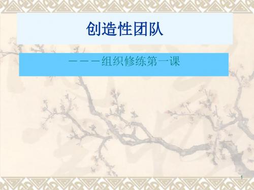 创造性团队ppt课件