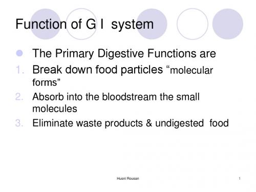 GI system