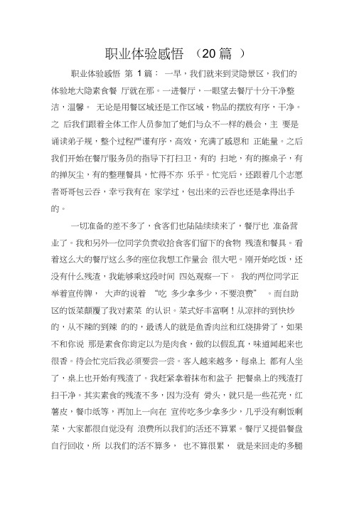 职业体验感悟(20篇)