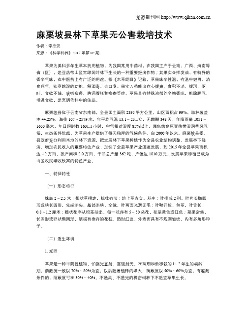 麻栗坡县林下草果无公害栽培技术
