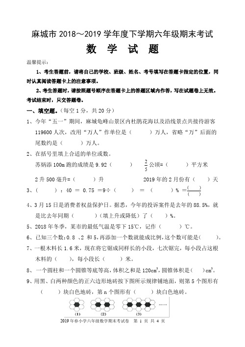 湖北省麻城市2019学年度下学期六年级数学试卷