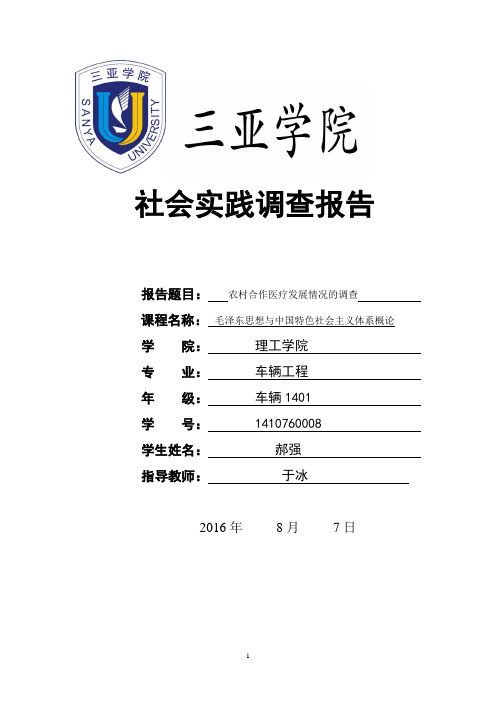 毛邓三调查报告