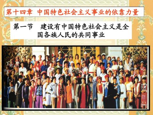 14中国特色社会主义事业的依靠力量