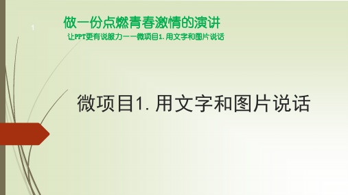 用文字和图片说话ppt课件