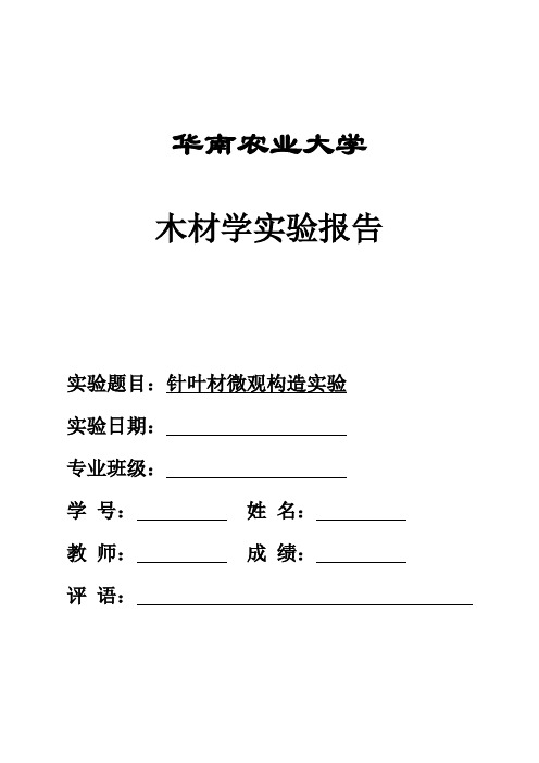 木材学针叶材微观构造实验报告