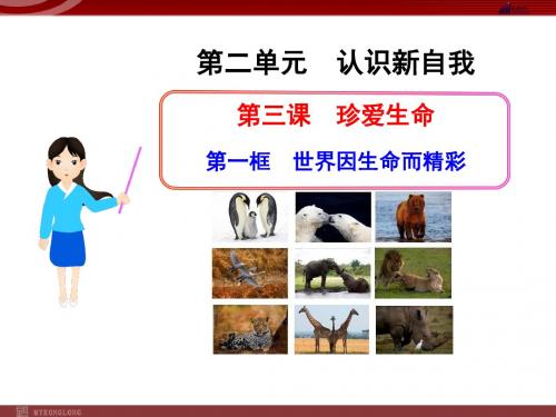 人教版初中政治课件： 世界因生命而精彩