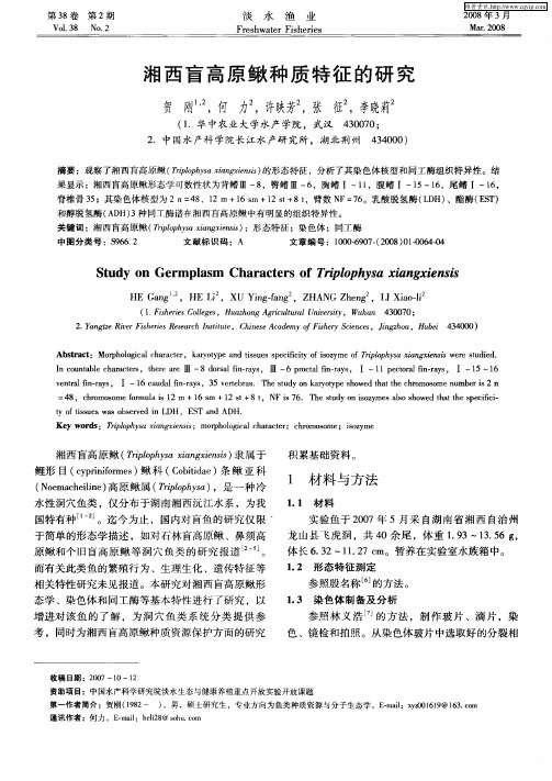 湘西盲高原鳅种质特征的研究