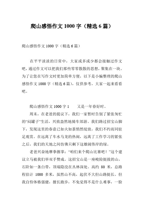 爬山感悟作文1000字(精选6篇)
