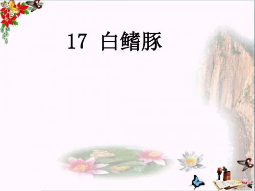 五年级语文上册第五单元白鳍豚PPT课件3湘教版