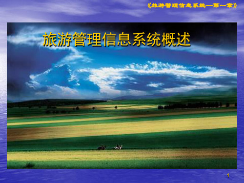旅游管理信息系统概述