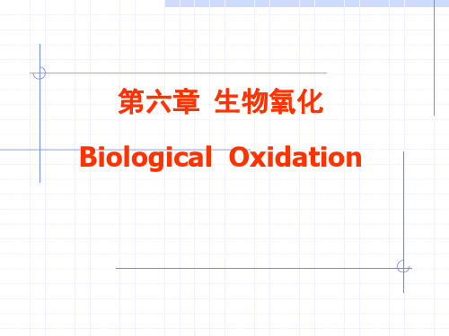 第六章 生物氧化