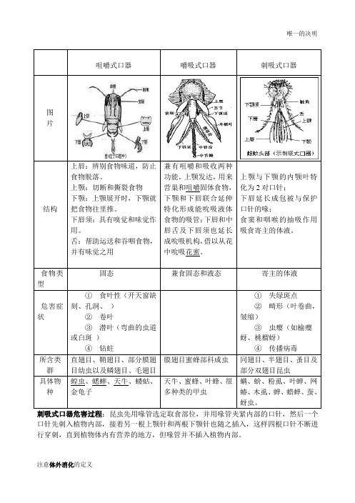 昆虫的口器比较