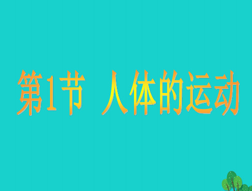 八年级生物上册-第6单元-第17章-第1节-人体的运动