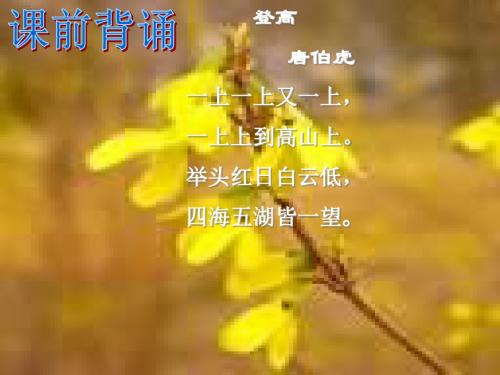 粤教版必修三《说数》ppt课件
