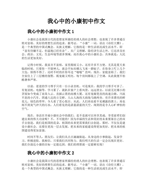 我心中的小康初中作文
