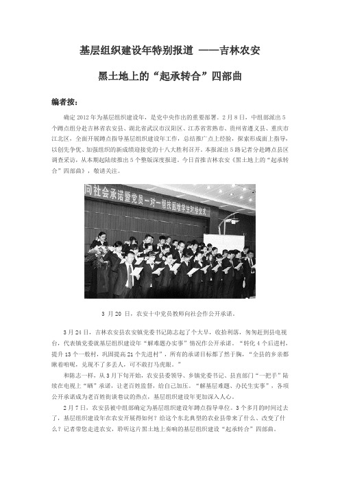 基层组织建设年特别报道