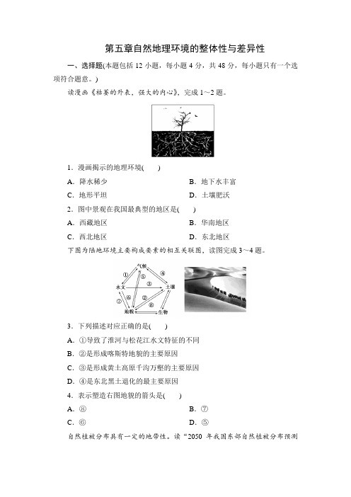 5.3人教版高中地理必修一第五章自然地理环境的整体性与差异性章末综合训练习题 带详解答案解析