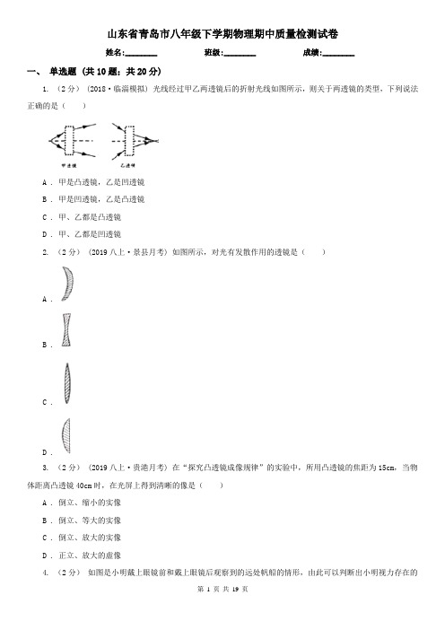 山东省青岛市八年级下学期物理期中质量检测试卷