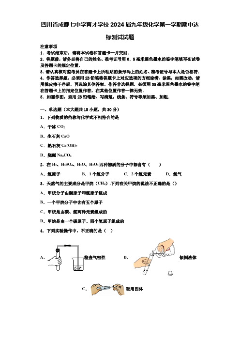 四川省成都七中学育才学校2024届九年级化学第一学期期中达标测试试题含答案解析