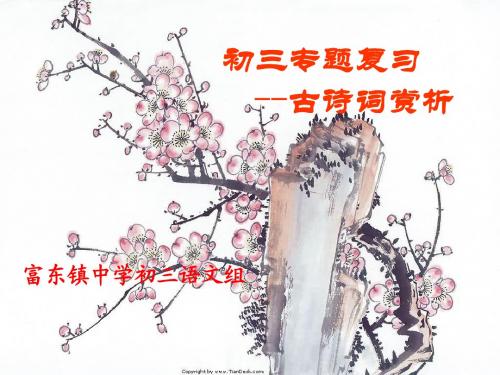 中考诗歌复习